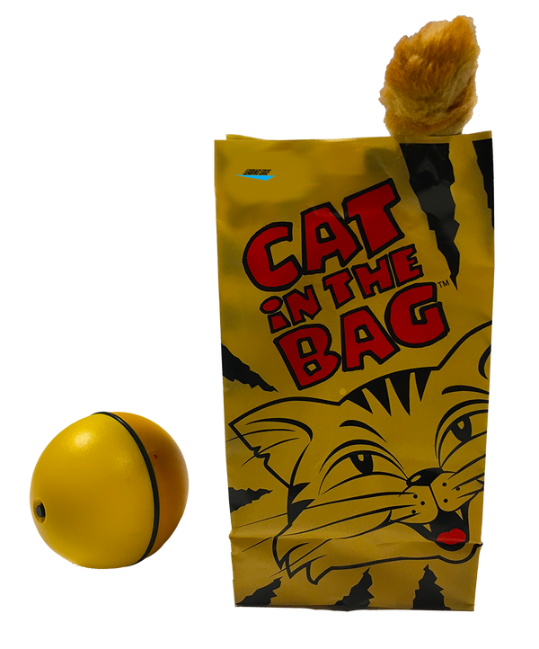 CAT IN THE BAG