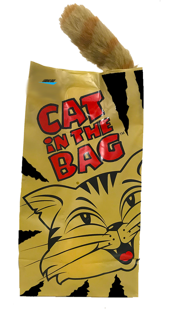 CAT IN THE BAG